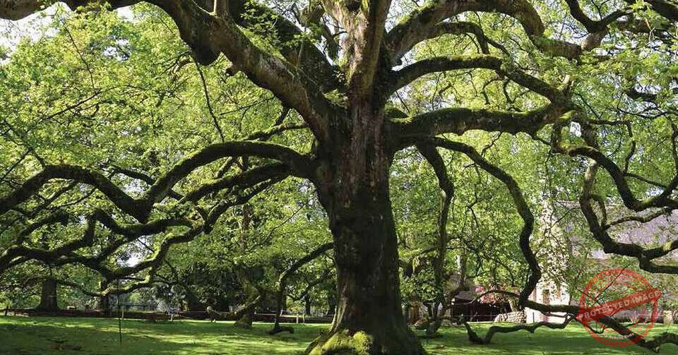 Read more about the article وزارة البيئة حذرت من ارتفاع مؤشر خطر الحرائق