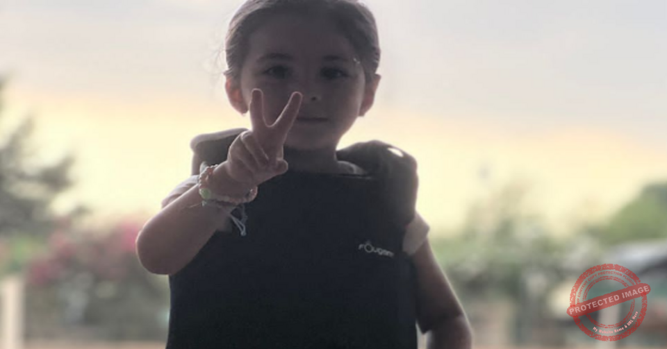 Read more about the article بطولة ركوب الخيل