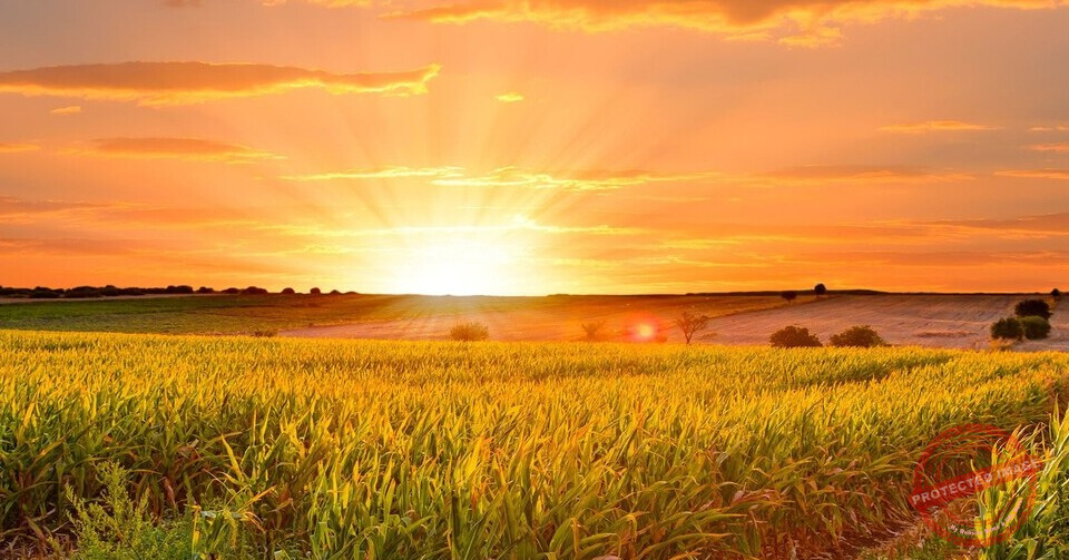 Read more about the article سعودات الصيف الـ 4