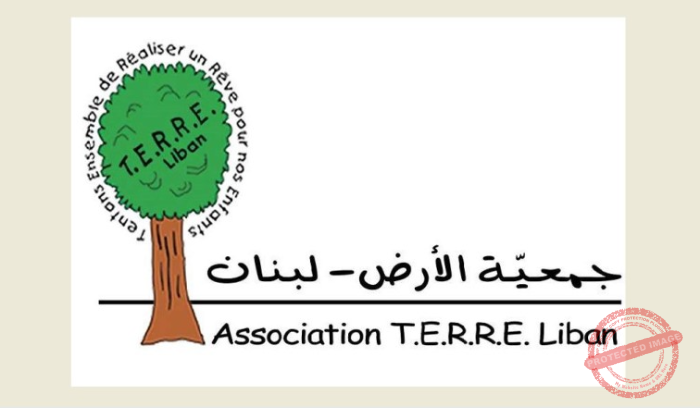 Read more about the article حماية شاطئ عمشيت