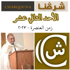 Read more about the article الاحد الثاني عشر من زمن العنصرة