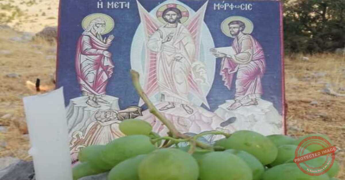 Read more about the article تبريك العنب