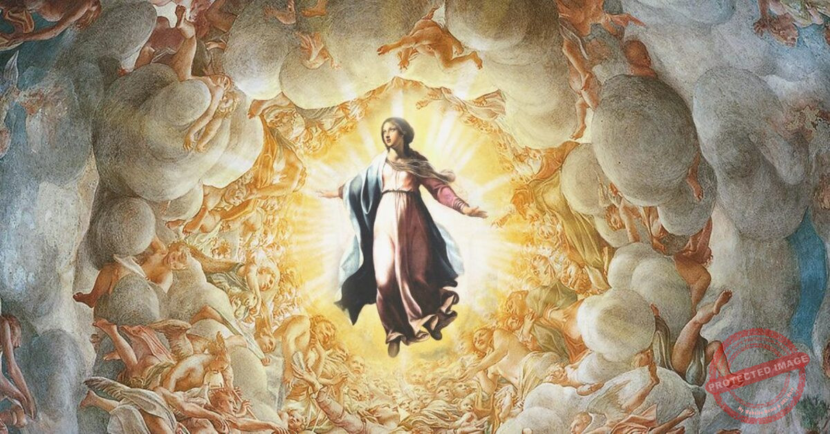 Read more about the article الرسالة الأخيرة التي أعطتها العذراء للطوباوية ماريا داغريدا