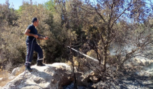 Read more about the article سلسلة حرائق في عدد من البلدات العكارية أخمدها الدفاع المدني