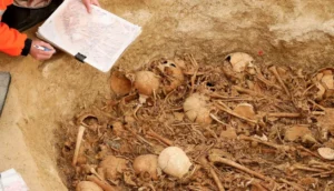 Read more about the article اكتشاف قرية من العصر الحجري في فرنسا