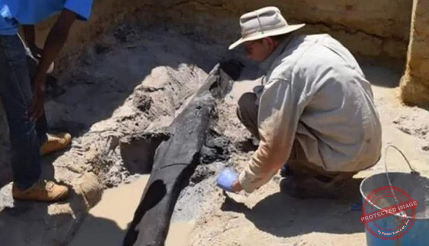 Read more about the article العثور على أقدم هيكل خشبي