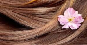 Read more about the article اطعمة لشعر صحي