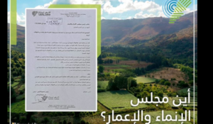 Read more about the article جمعية “الارض”: أين مجلس الإنماء والإعمار من ضبط مداخل مرج بسري؟