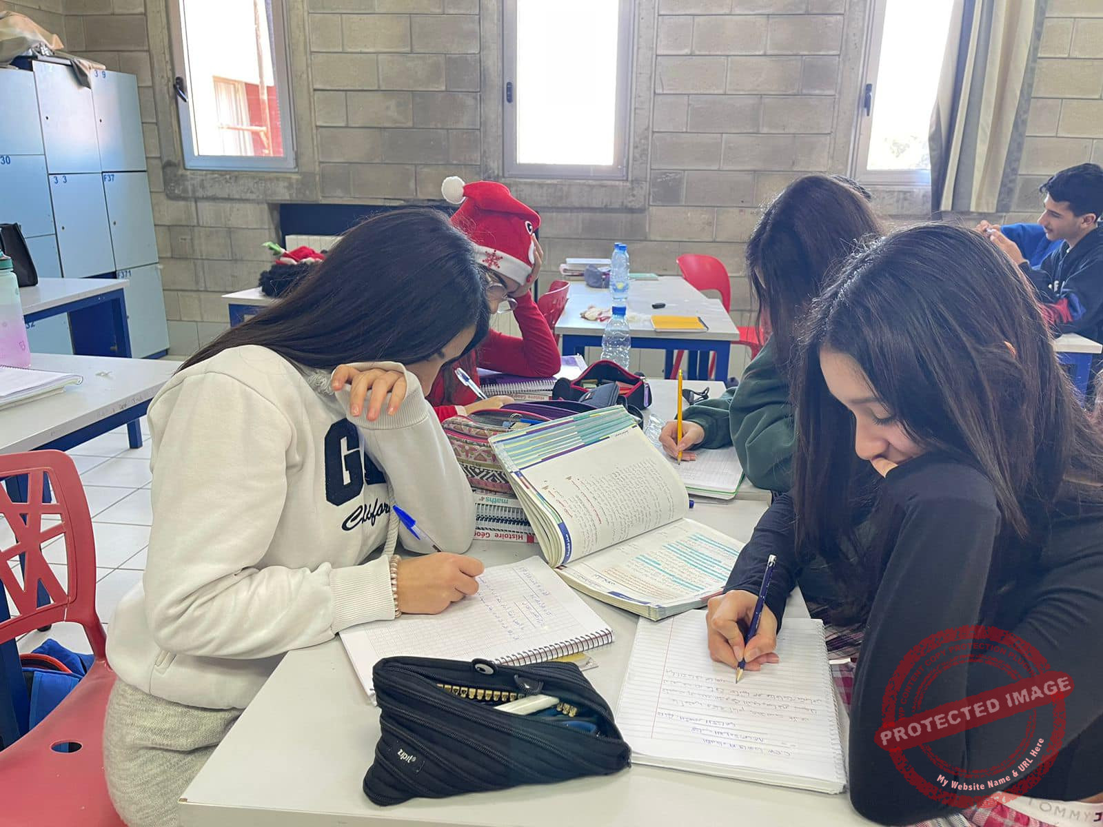 Read more about the article يوم اللغة العربية في مدرسة الأنطونية الدولية عجلتون