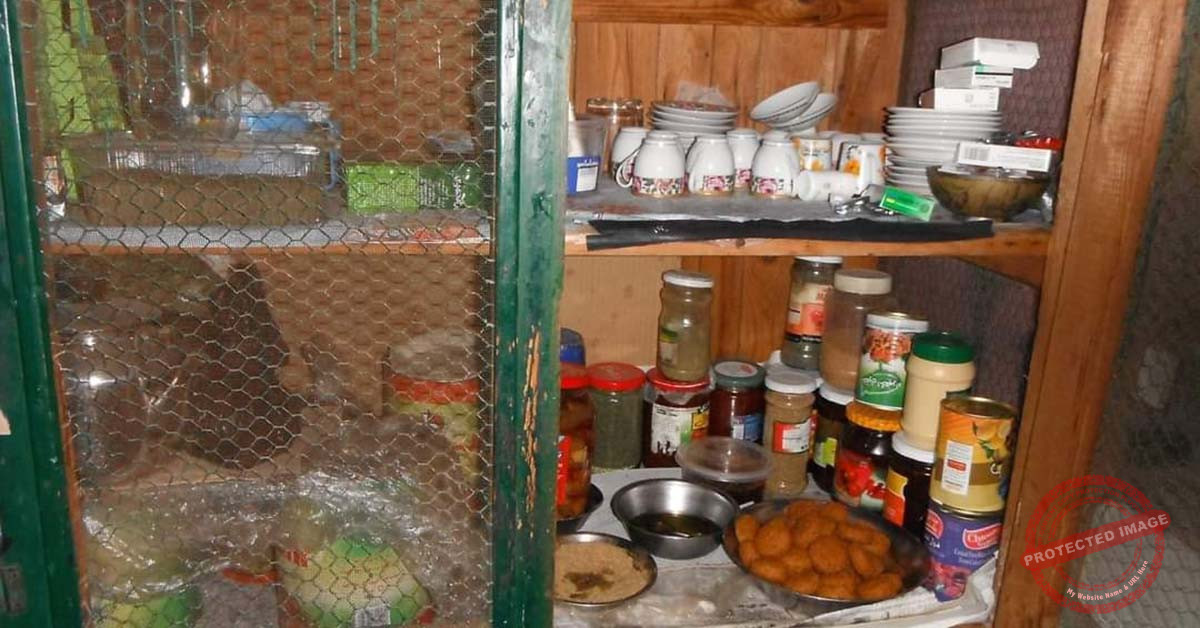 Read more about the article النمليّة وعادات أجدادنا