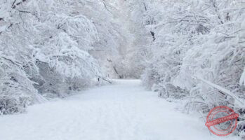 Read more about the article الطقس المتوقع في لبنان