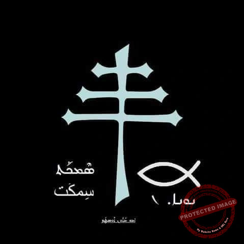 Read more about the article السمكة رمزًا للسيد المسيح
