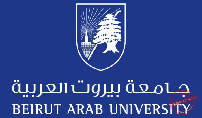 Read more about the article اتفاقية تعاون بين جامعة بيروت العربية وجامعة أبو ظبي