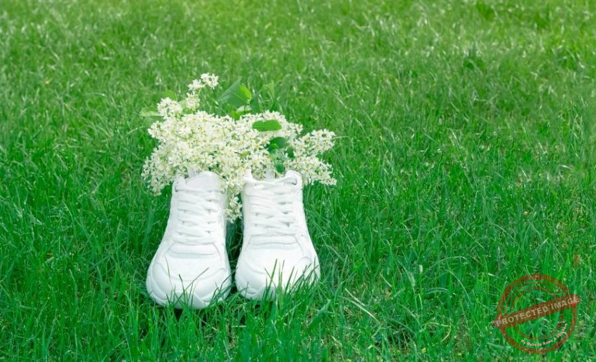 Read more about the article أحذية عصرية صديقة للبيئة