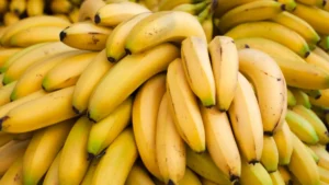 Read more about the article نصائح لتغذية عقول الأجيال الصاعدة