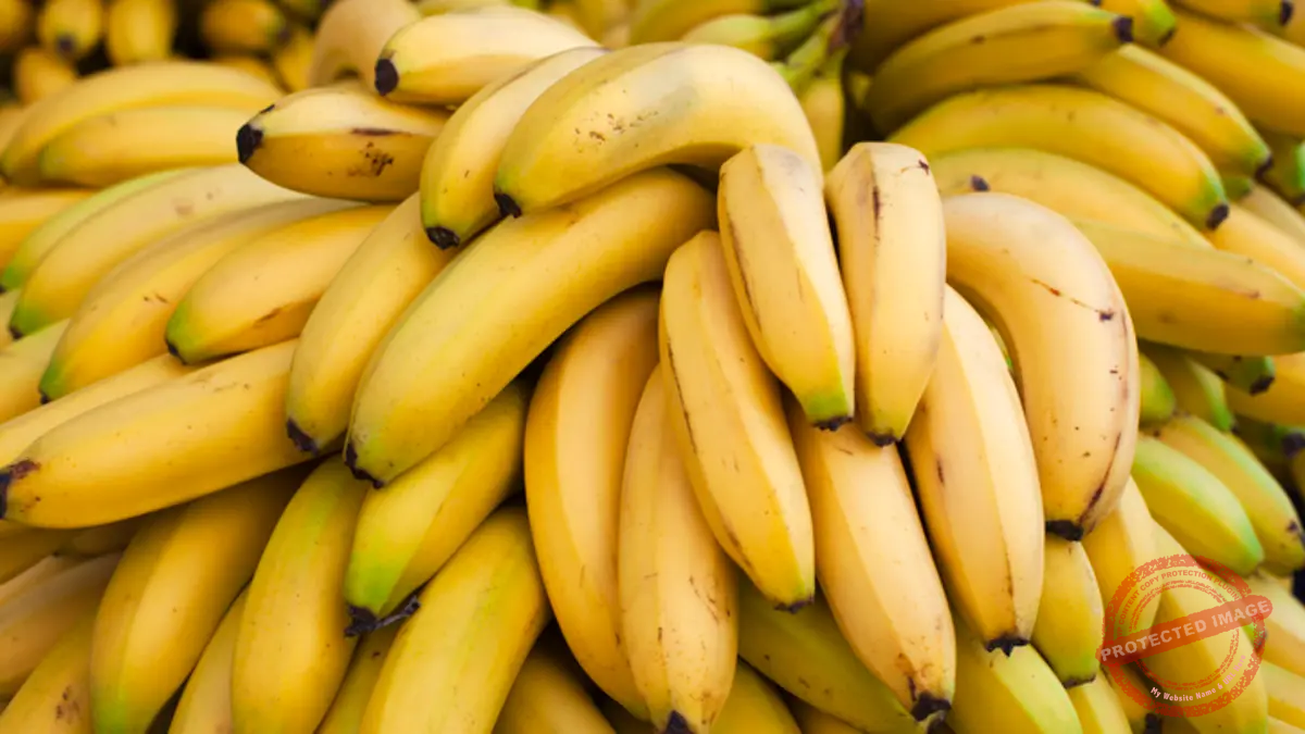 Read more about the article نصائح لتغذية عقول الأجيال الصاعدة