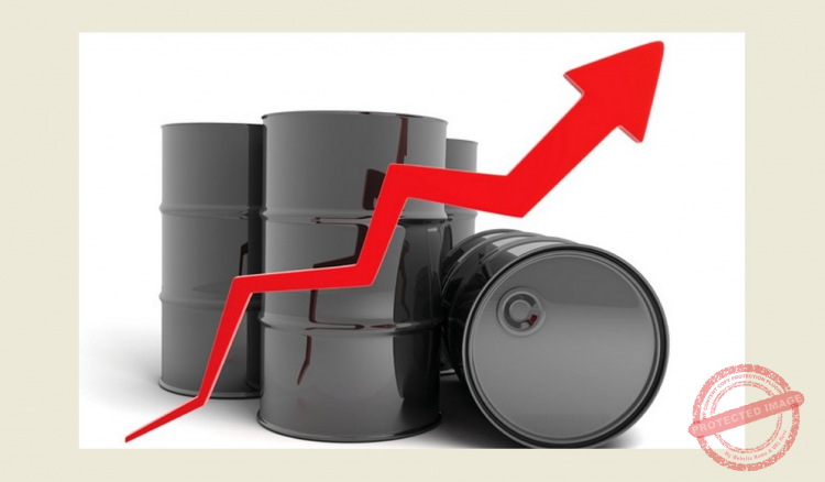 Read more about the article ارتفاع سعر البنزين وانخفاض سعر الغاز