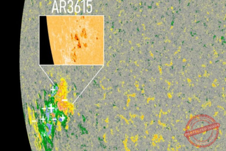 Read more about the article توسع بقعة شمسية