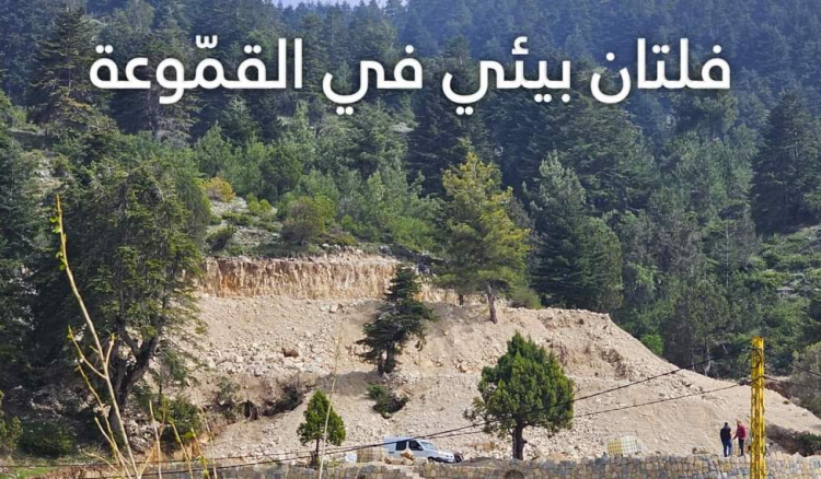 Read more about the article جمعية الأرض: مخالفة بيئية وقطع أشجار بمشاعات في منطقة القموعة