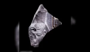 Read more about the article مصر تستعيد رأس تمثال عمره 3400 عام
