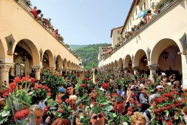 Read more about the article بالصور: عيد القديسة ريتا