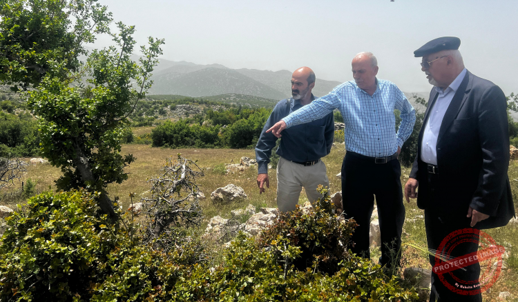 Read more about the article مشروع “أنقذوا غابات راشيا”