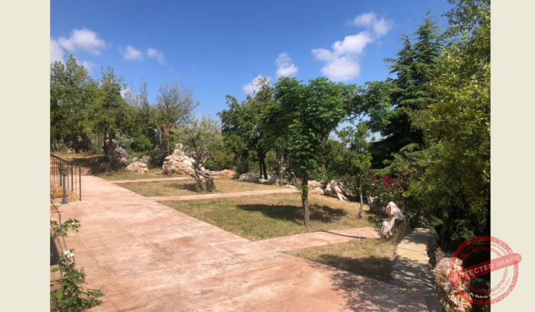 Read more about the article تنظيف وتأهيل ممرات حديقة البطاركة الديمان وفتحها للزوار