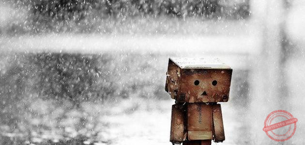 Read more about the article لا شيء يدوم في هذا العالم، ولا حتى ألامنا