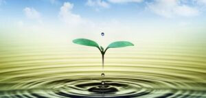 Read more about the article لا أحد منا سيخرج من هنا على قيد الحياة