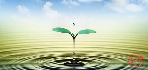 Read more about the article لا أحد منا سيخرج من هنا على قيد الحياة
