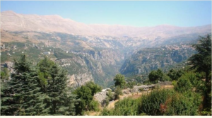 Read more about the article لجنة إدارية جديدة لجمعية وادي قنوبين في اوستراليا