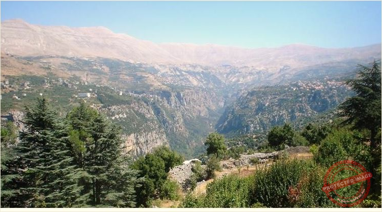 Read more about the article لجنة إدارية جديدة لجمعية وادي قنوبين في اوستراليا