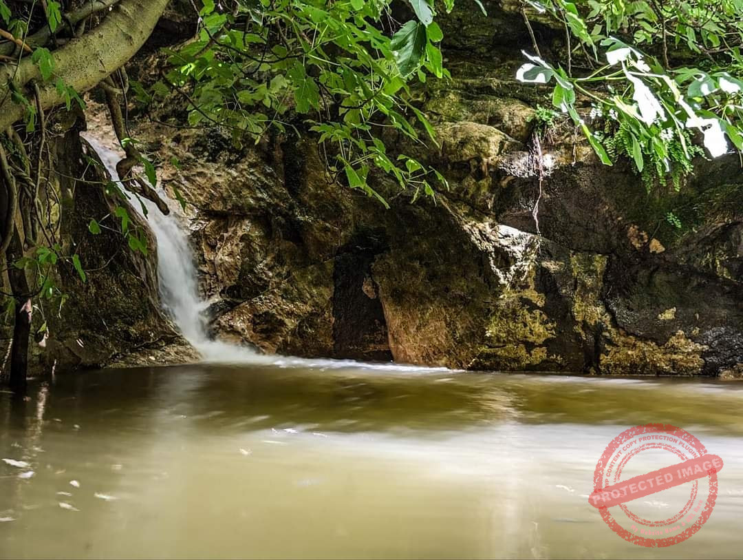 Read more about the article بالصور من وادي الدوالي هضبة الجولان