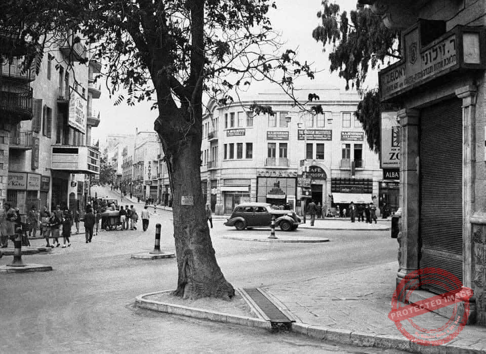 Read more about the article بالصور: فلسطين ما بين الاعوام  1930 حتى1940