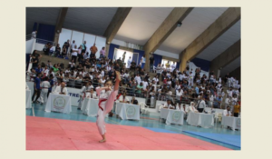Read more about the article بطولة لبنان للتايكواندو في أسلوب البومسيه