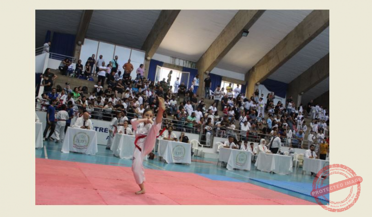 Read more about the article بطولة لبنان للتايكواندو في أسلوب البومسيه