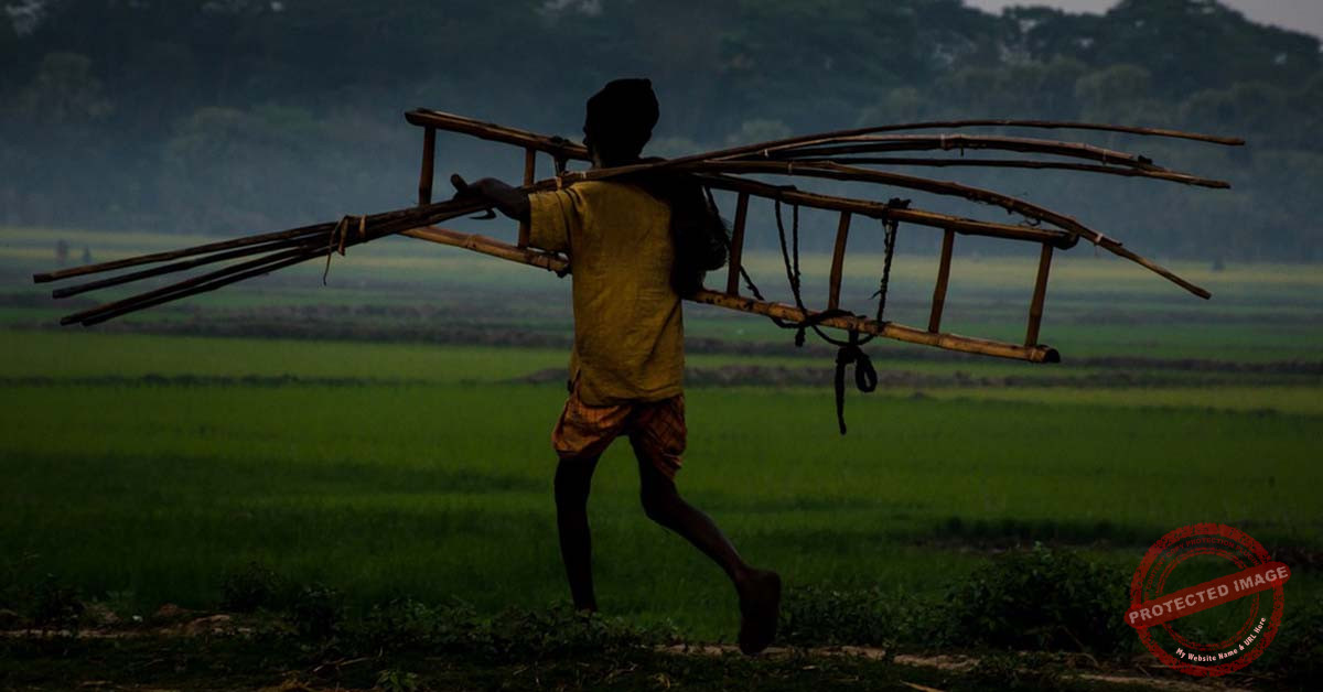 Read more about the article عبارة “على قدم وساق”