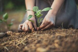 Read more about the article ماذا قال ديفيد دبليو أور؟