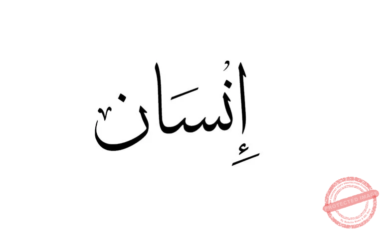 Read more about the article لماذا أطلق على الإنسان لفظ إنسان