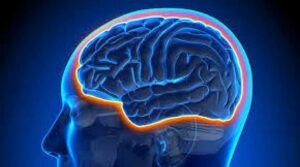 Read more about the article ابتكار جهاز دماغي يعالج آلام الجسم المزمنة