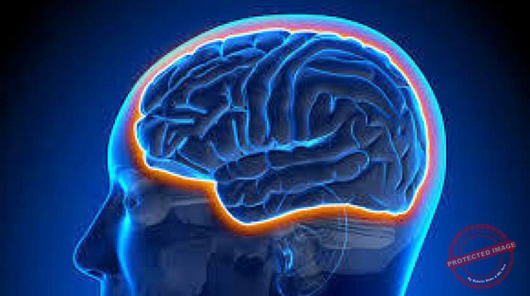 Read more about the article ابتكار جهاز دماغي يعالج آلام الجسم المزمنة