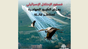Read more about the article “جمعية الجنوبيون الخضر”: ندين الانتهاكات الإسرائيلية المتواصلة للمواقع البيئية