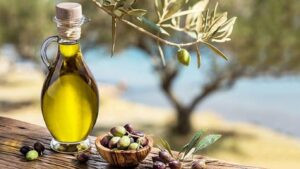 Read more about the article أمثال شعبية عن الزيت والزيتون