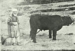 Read more about the article فلاح لبناني عام 1924