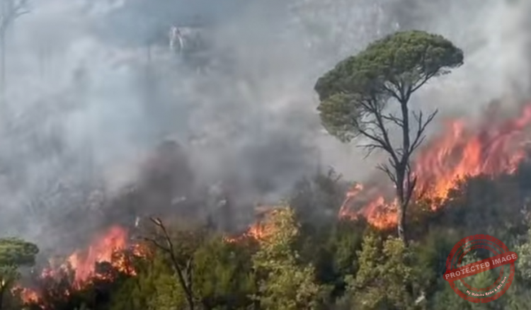 Read more about the article جمعية “الأرض”: الوضع في جزين كارثي