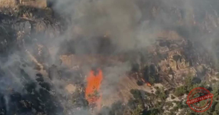 Read more about the article حريق الربوة يتجدّد ويهدّد المنازل والأهالي يناشدون