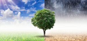 Read more about the article تغير المناخ يرفع درجات الحرارة إلى مستويات جديدة