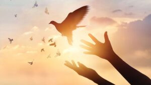 Read more about the article الصَّلاح لا يكون إلّا حيث تكون المحبّة