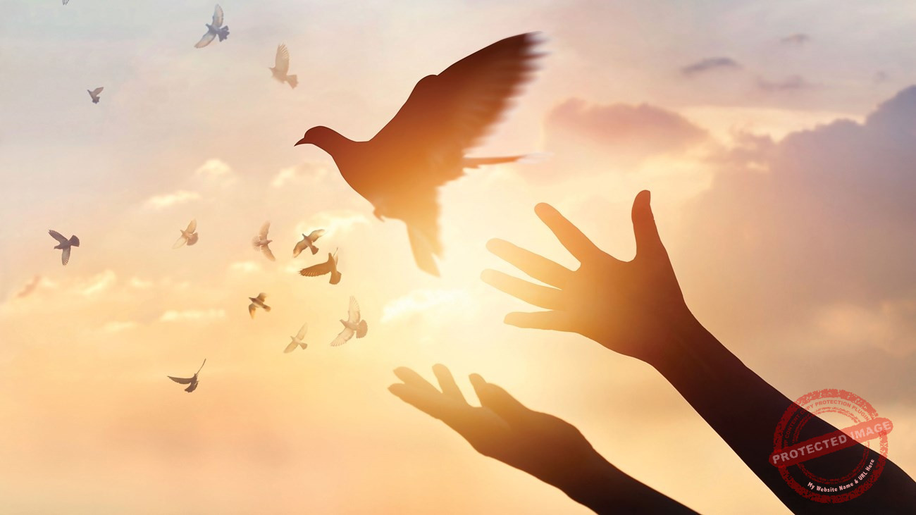 Read more about the article الصَّلاح لا يكون إلّا حيث تكون المحبّة