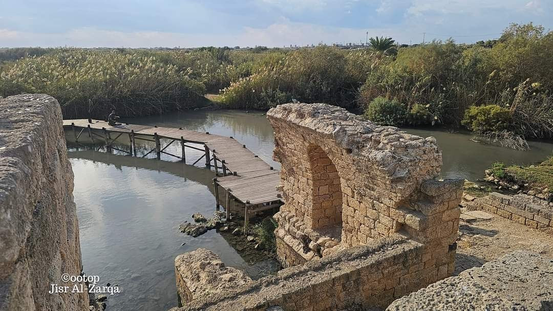 Read more about the article بالصور: وادي التماسيح وقرية جسر الزرقا